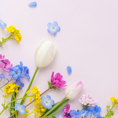 健康な腸へのショートカット♪