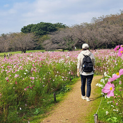 秋はとにかく広い公園を歩きたい