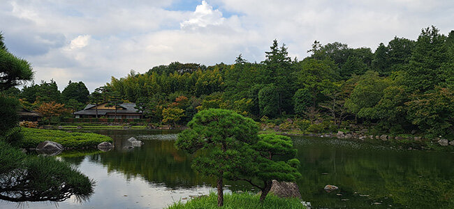 labo_002461_03.jpg