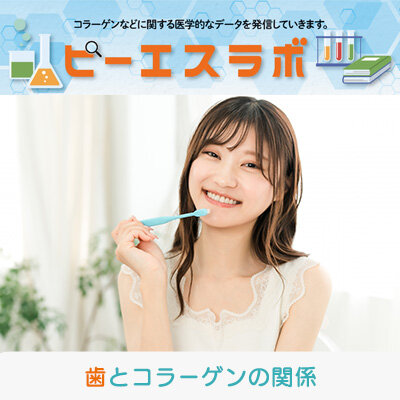 歯とコラーゲンの関係