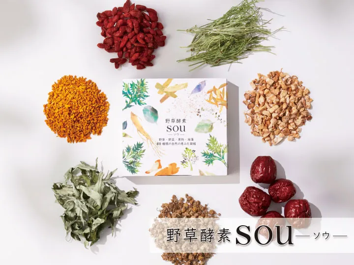 毎日スッキリ実感！【新発売】野草酵素SOU-ソウ-