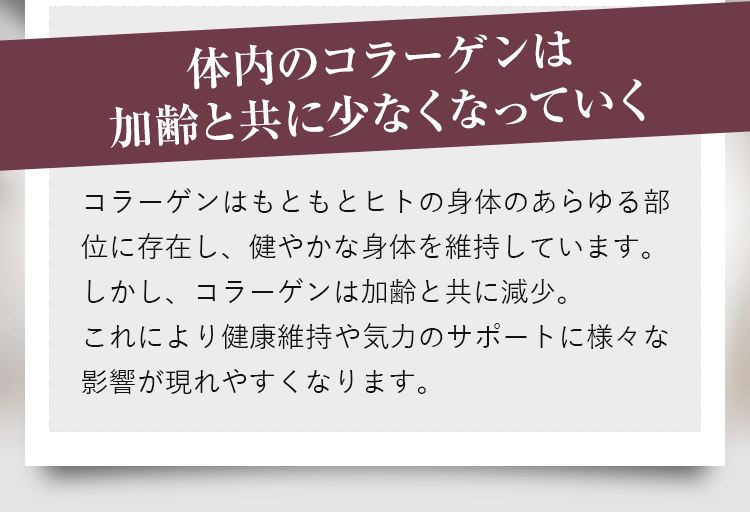 体内のコラーゲンは加齢と共に少なくなっていく