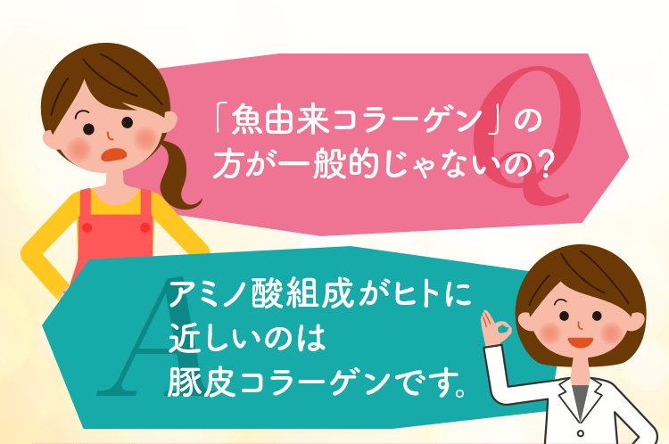 アミノ酸組成がヒトに近しいのは豚皮コラーゲンです