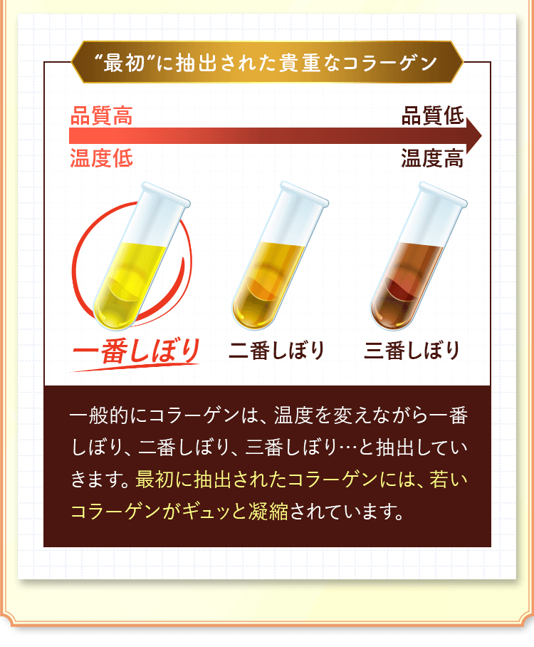 最初に抽出された貴重なコラーゲン