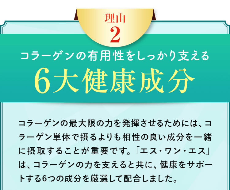 コラーゲンの有用性をしっかり支える6大健康成分
