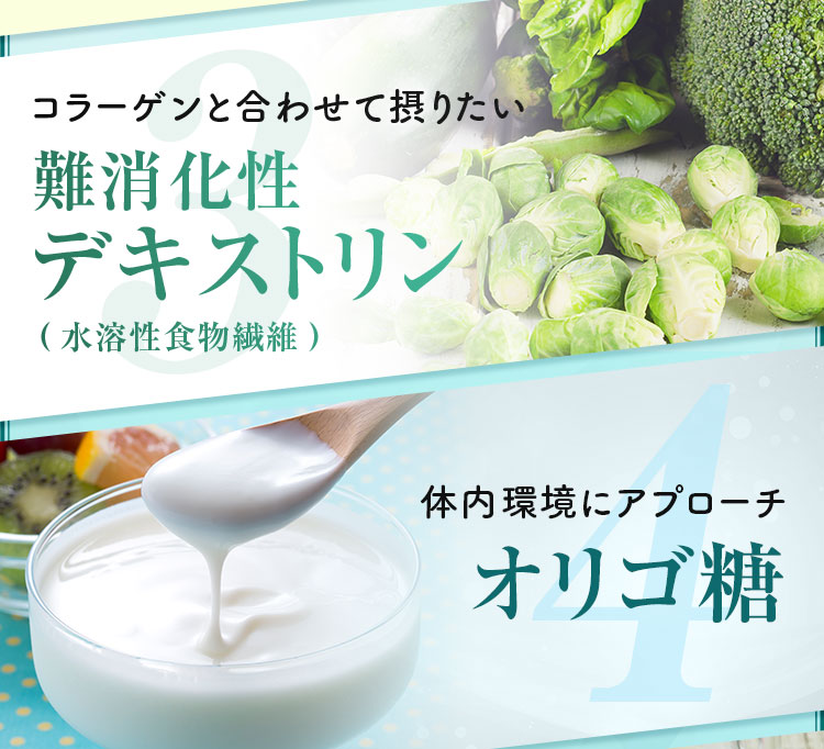 難消化性デキストリン オリゴ糖