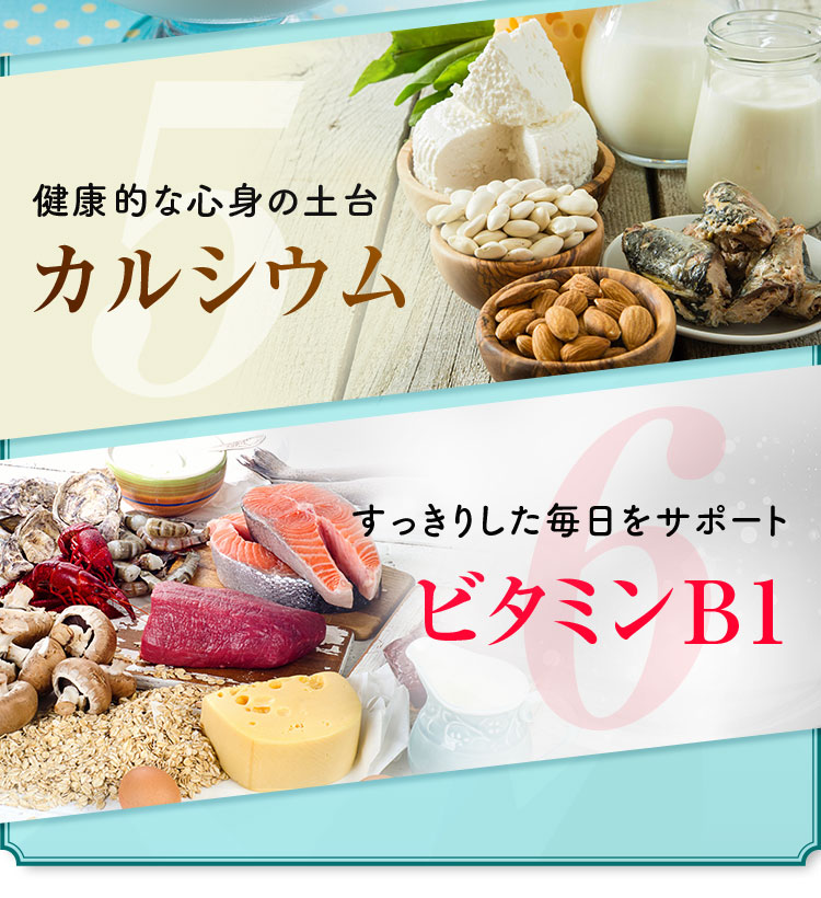 カルシウム ビタミンB1