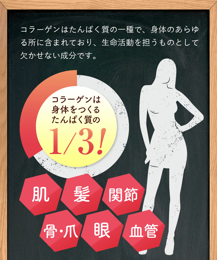 コラーゲンはたんぱく質の一種で、体のあらゆるところに含まれており、生命活動を担うものとして欠かせない成分です