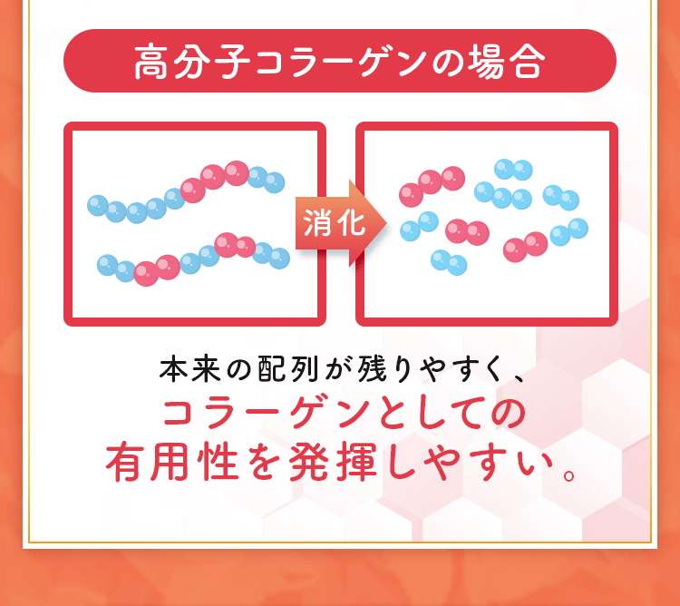 高分子コラーゲンの場合 本来の配列が残りやすく、コラーゲンとしての有用性を発揮しやすい