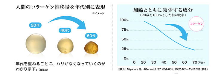人間のコラーゲン推移量を年代別に表現。年代を重ねるごとに貼りがなくなていくのがわかります。加齢と共に減少していく成分