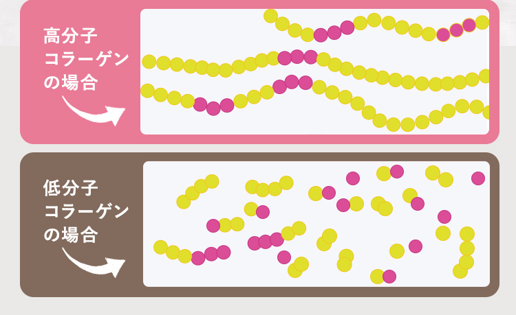 高分子コラーゲンの場合低分子コラーゲンの場合