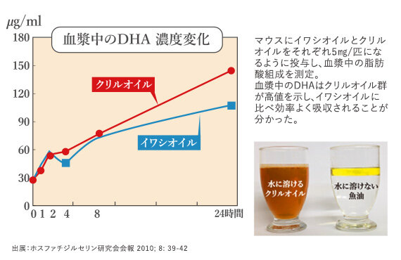 水に溶けるから『吸収性』が違う！
