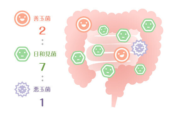 健康であるための腸内バランス